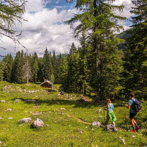 Easy hiking trails